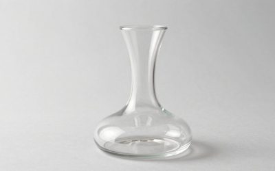 Best Aerating Wine Decanters