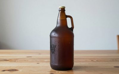 Best Beer Growlers: Insulated and Pressurized (2026)