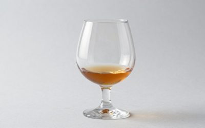 Best Brandy Snifters for Aroma and Comfort