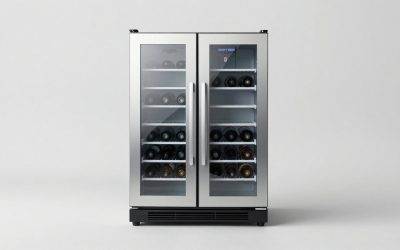 Best Dual Zone Wine Fridge: Our Top Picks for 2026