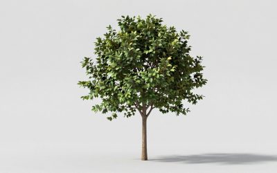 Best Hang-On Tree Stands for Hunting