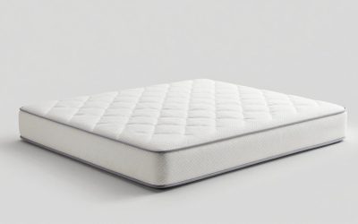 Best Mattress Protectors for Dust Mite Allergies