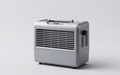 Best Thermoelectric Portable Coolers for Car Trips, Camping and Home