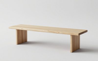 Best Transfer Benches for Seniors