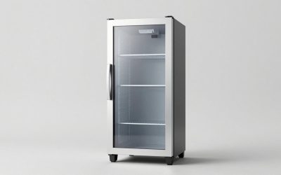 Best Wine Fridge: Our Top Picks for 2026