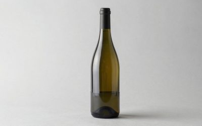 Bodega Cooler 28 Bottle Wine Fridge Review 2026: What You Should Know Before Buying